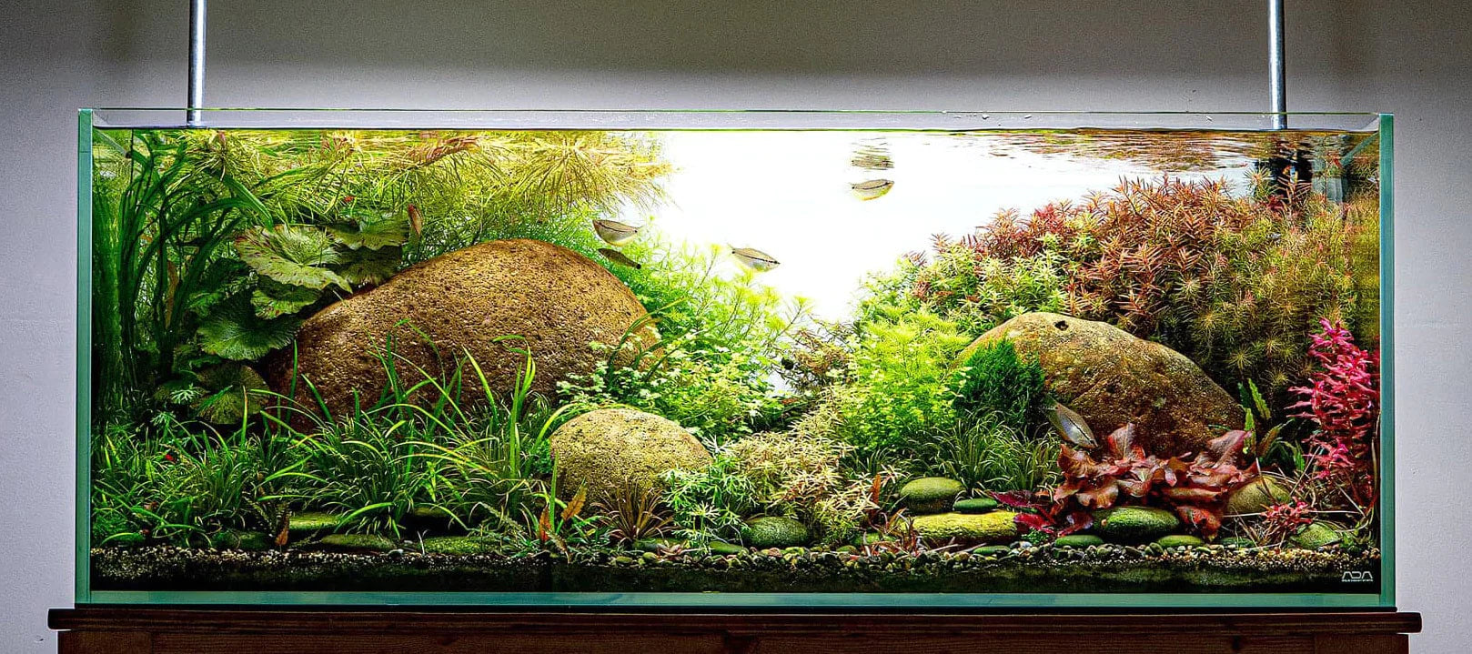 Hardscape