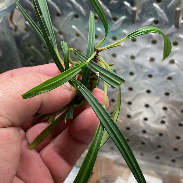 02FD5706-6FA7-484D-A58B-