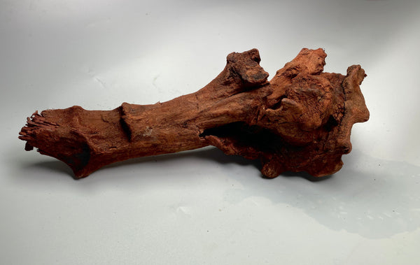 Malaysian Driftwood AAA